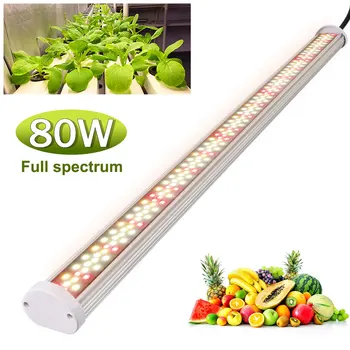 Nő LED Fény, Bár Teljes Spektrumú Növény Növekedési Lámpa hálózati kábel beltéri növekszik Az Üvegházhatású Growbox Hidroponikus világítás